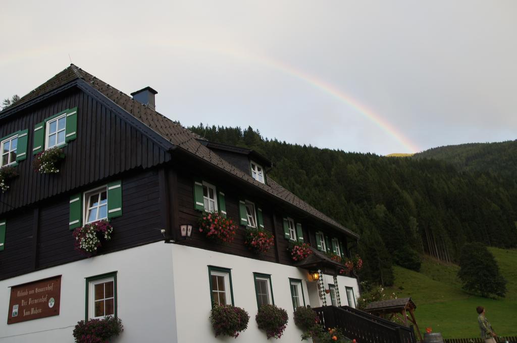 Der Perweinhof Apartment Donnersbachwald Exterior photo
