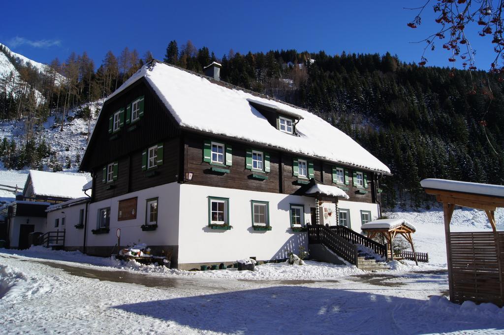 Der Perweinhof Apartment Donnersbachwald Exterior photo